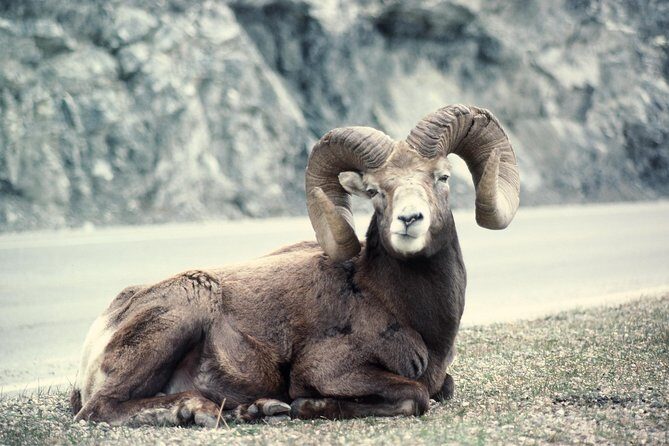 Ultimate Jasper Nature Walk - An In-Depth Look at the Ultimate Jasper Nature Walk