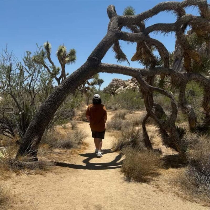 Ultimate Joshua Tree National Park Private Group Adventure - What Travelers Are Saying
