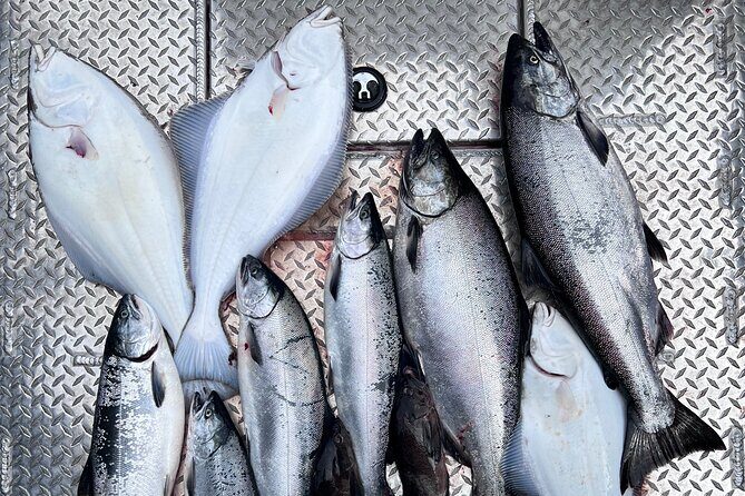 Ultimate Ketchikan Salmon and Halibut Fishing Adventure - Setting the Scene: What the Tour Offers