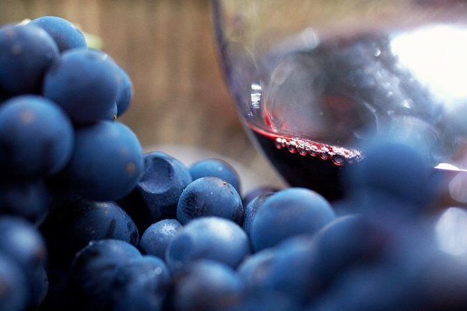 Ultimate Mornington Peninsula Food and Wine Small Group Tour - The Sum Up