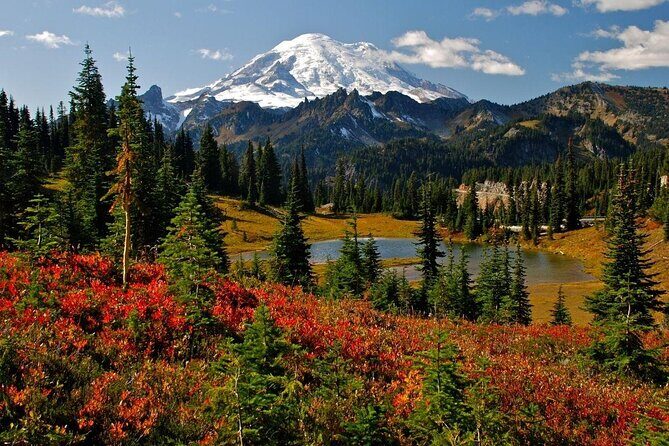 Ultimate Mount Rainier National Park Self-Guided Driving Tour - Key Points