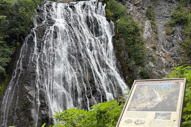 Ultimate Mount Rainier National Park Self-Guided Driving Tour - The Sum Up