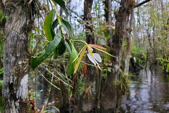 Ultimate National Park Expedition Dry Tortugas Everglades - Final Thoughts