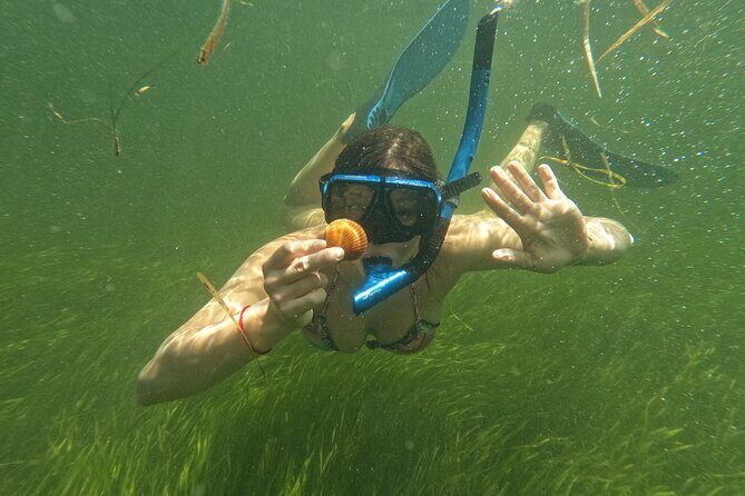 Ultimate Private Scalloping Adventure in Crystal River - Who Will Love This Tour?
