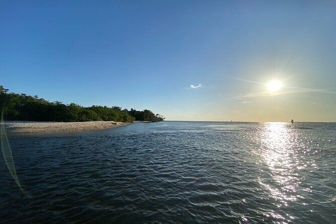 Ultimate Private Scalloping Adventure in Crystal River - The Sum Up
