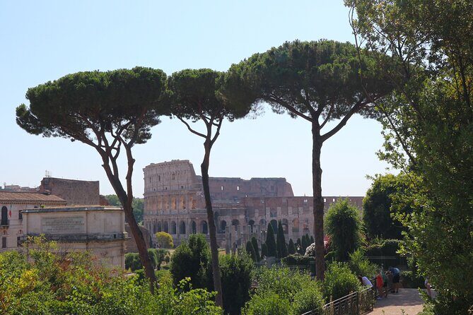 Ultimate Rome: Colosseum, Forum & Palatine Hill Guided Visit - The Itinerary: What You Can Expect