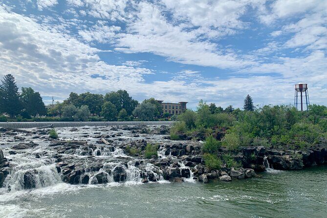 Ultimate Scavenger Idaho Falls - Authentic Insights from Reviews