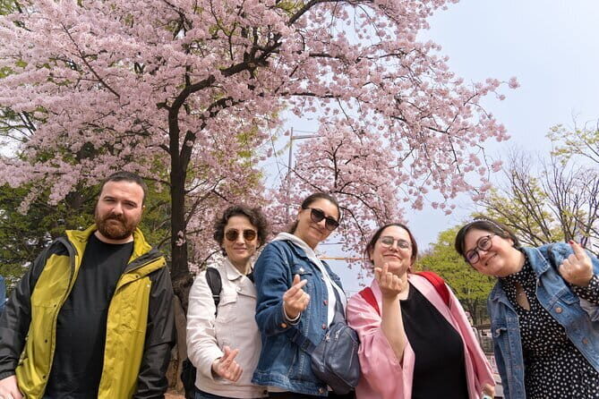 Ultimate Seoul Experience in 2 days - Starting Point: A Convenient Meet in Myeongdong