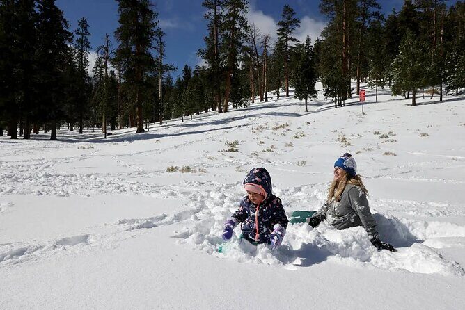 Ultimate Snowplay Adventure at Mount Charleston - The Sum Up