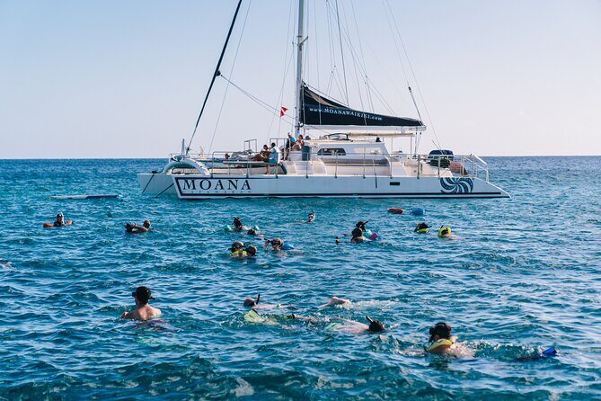 Ultimate Sunset Turtle Snorkeling Ocean Sports with Transport - Who Should Book This Tour?