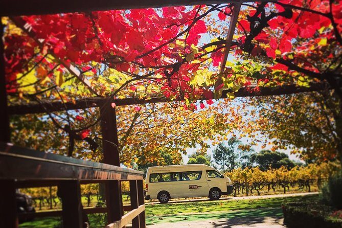 Ultimate Swan Valley Food and Wine Day Trip from Perth - Final Thoughts: Who Will Enjoy This Tour?