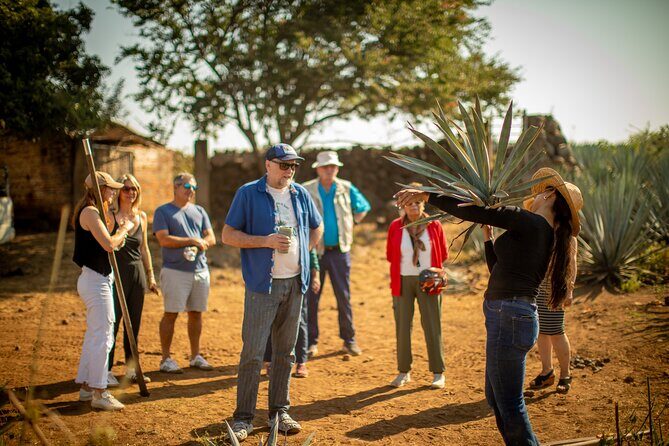 Ultimate tequila 2 day trip from Puerto Vallarta - A Genuine Look at the Ultimate Tequila 2-Day Trip from Puerto Vallarta