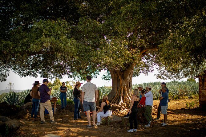 Ultimate tequila 2 day trip from Puerto Vallarta - Who Should Consider This Tour?