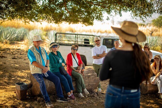 Ultimate tequila 2 day trip from Puerto Vallarta - The Sum Up