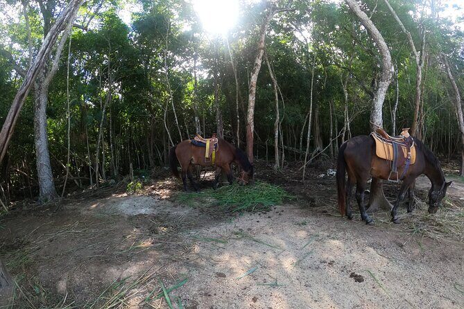 Ultimate Tulum Adventure: ATVs, Horses, Ziplines & Cenotes - FAQs