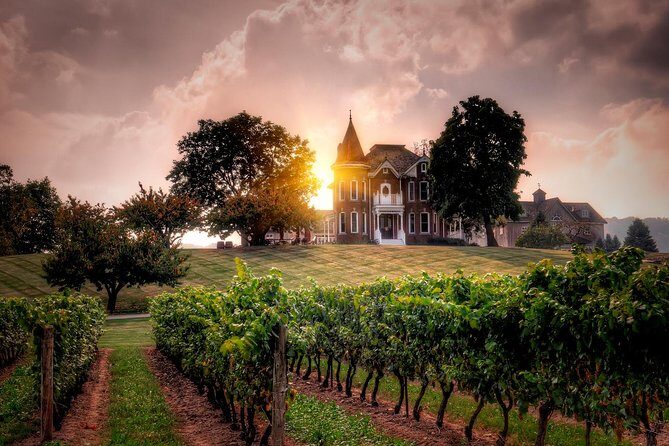 Ultimate Wine Country and Niagara Falls Private Tour with Lunch - Who Will Appreciate This Tour?
