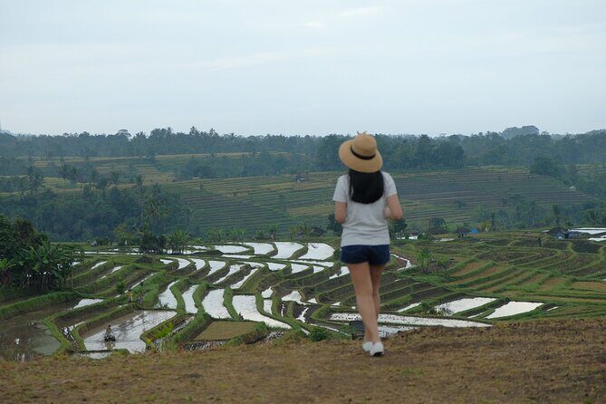 Ulundanu Bratan Temple, Jatiluwih Rice Terrace and Tanah Lot Sunset Tour - A Closer Look at the Tour Experience
