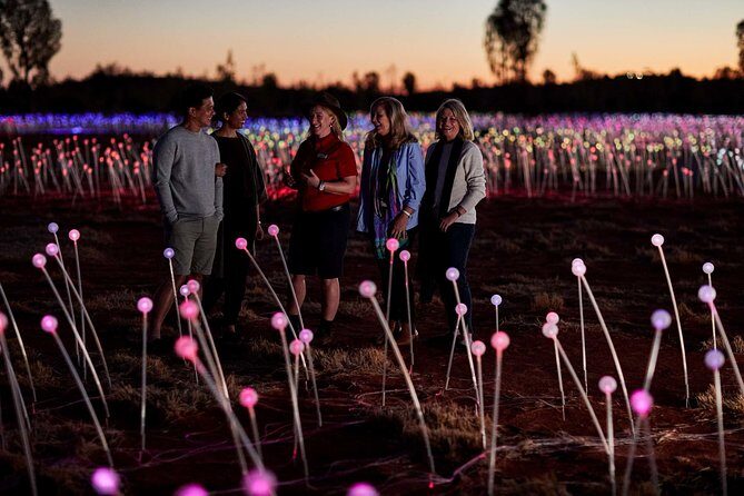 Uluru (Ayers Rock) Field of Light Sunrise Tour - A Balanced Look at the Uluru Field of Light Sunrise Tour