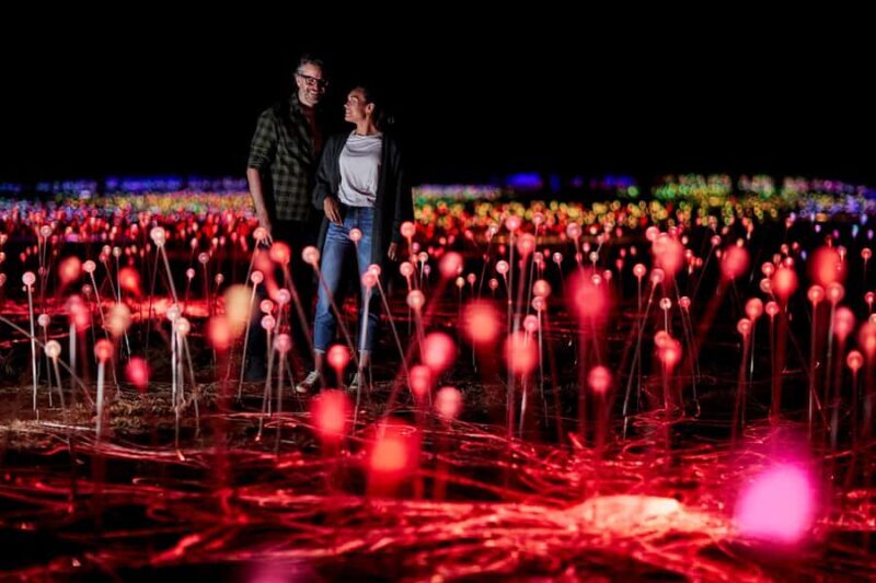 Uluru: Field of Light Sunrise Tour with Hot Drinks - What the Tour Offers