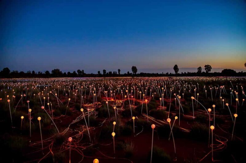 Uluru: Field of Light Sunrise Tour with Hot Drinks - Authentic Experiences from Reviews