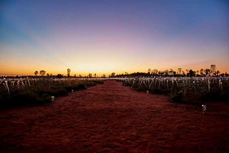 Uluru: Field of Light Sunrise Tour with Hot Drinks - FAQ