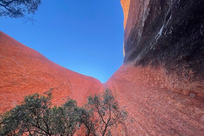 Uluru Private Tour Aboriginal guided option - The Sum Up