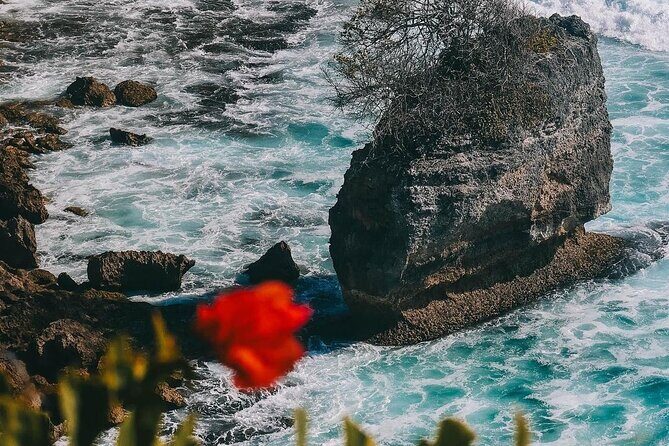 Uluwatu Temple Scenic Beaches and Fire Kecak Dance Tour - Why This Tour Offers Great Value