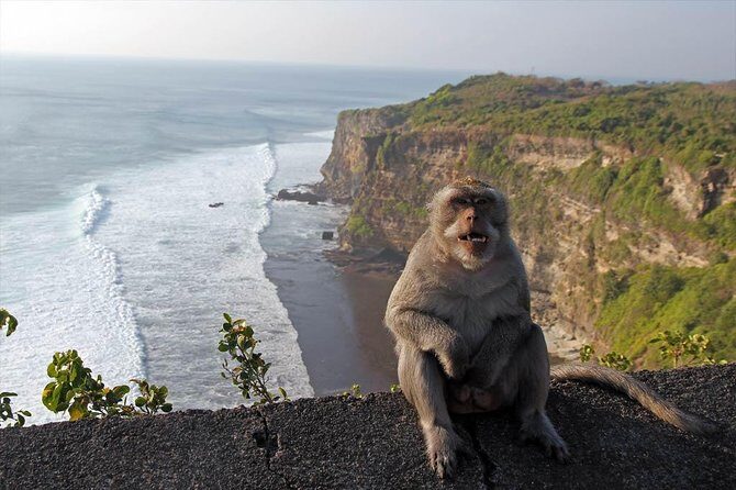 Uluwatu Temple Sunset and Kecak Fire Dance - Private Tour - FAQ