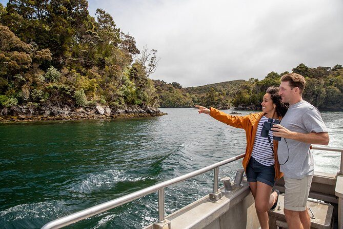 Ulva Island Explorer from Stewart Island - The Experience: A Detailed Look