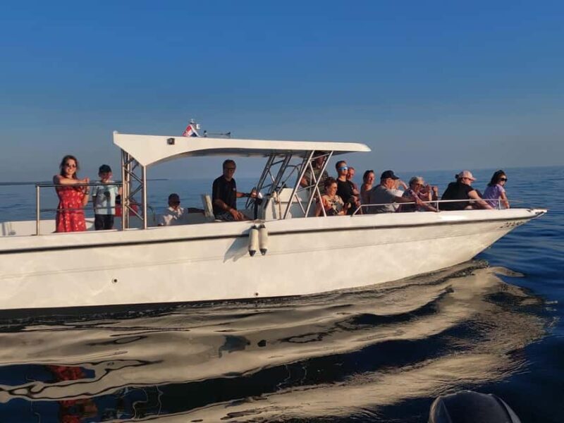 Umag: Dolphinwatching & sunset panorama tour - Dive Into the Details: What to Expect from the Umag Dolphinwatching & Sunset Tour