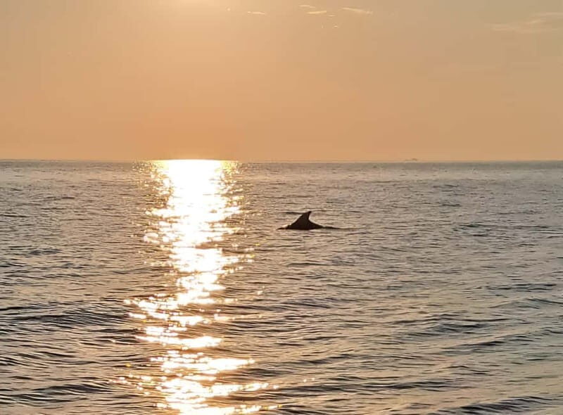 Umag; private boat rental with captain - Final Thoughts