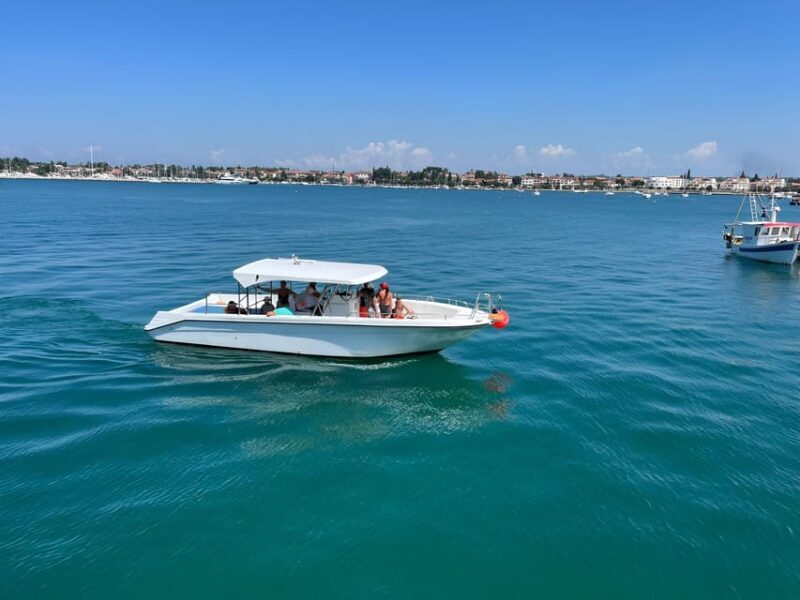 Umag: Snorkeling & dolphin watching morning boat tour - Pricing and Value
