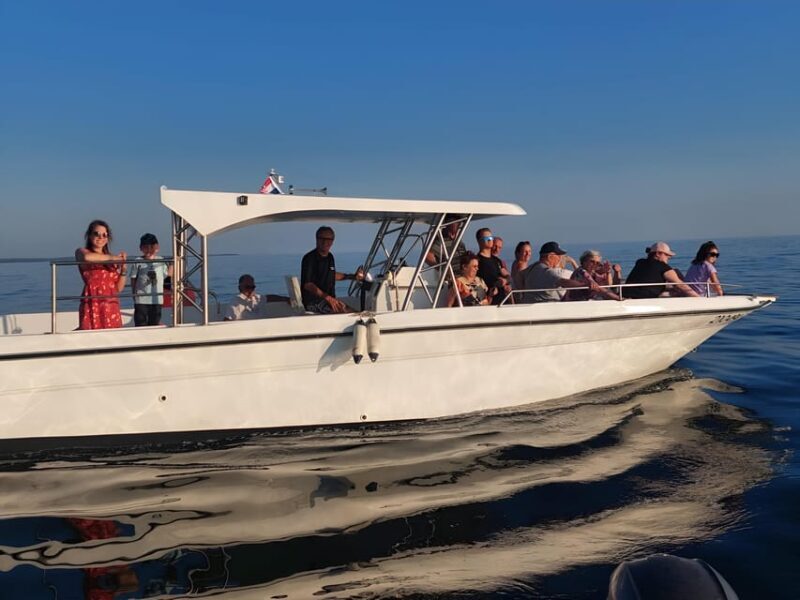 Umag: Snorkeling & dolphin watching morning boat tour - FAQ