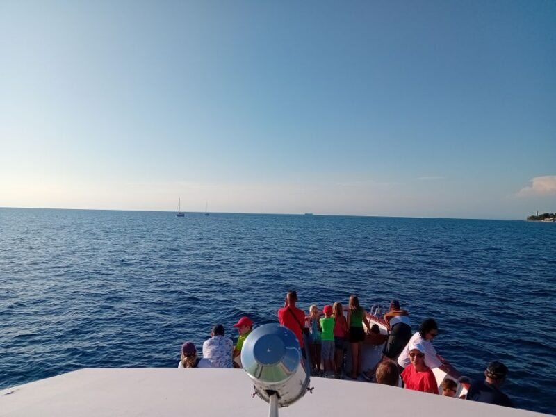 Umag: Sunset Cruise with Dolphin Spotting - What To Expect on the Sunset Dolphin Cruise