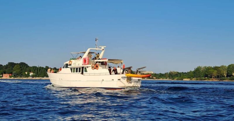 Umag: Sunset Cruise with Dolphin Spotting - Practical Details and Tips