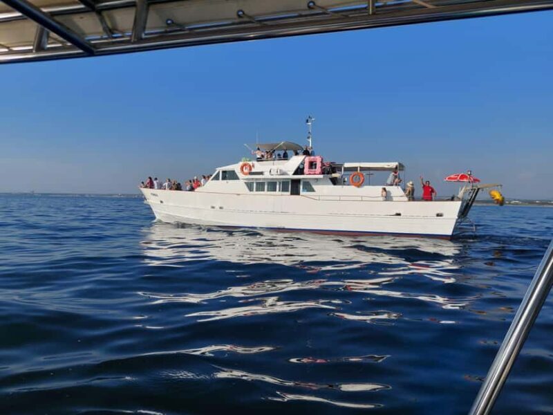 UMAG: Swimming&Panorama / Welcome Drink and Dolphin spotting - Breaking Down the Experience