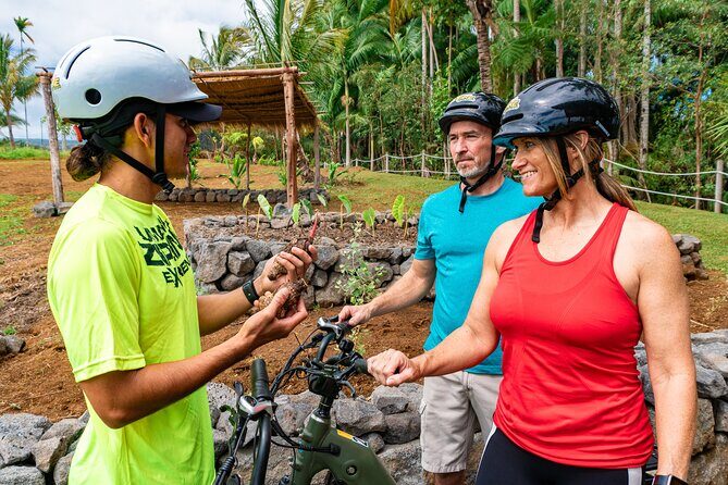 Umauma Falls eBike Tour in Hakalau - A Detailed Look at the Umauma Falls eBike Tour