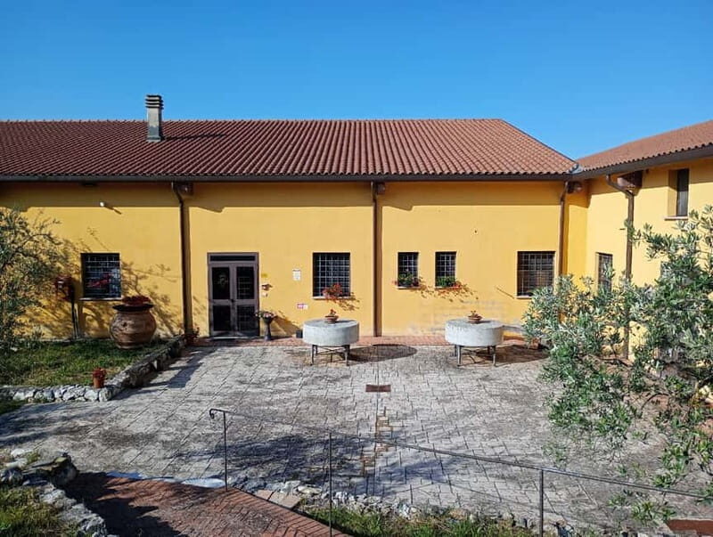 Umbria: guided tour to traditional oil mill + tasting - Our Summary: Who Would Love This?