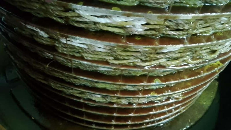 Umbria: guided tour to traditional oil mill + tasting - Frequently Asked Questions