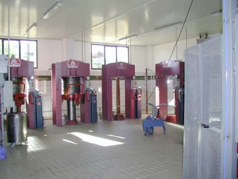 Umbria: guided tour to traditional oil mill + tasting - Final Thoughts