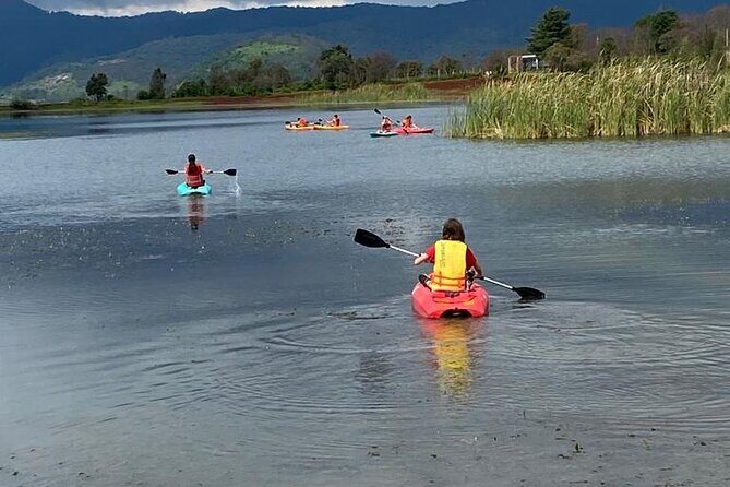 Umecuaro All Inclusive Tour and Guided Tours in Morelia - Evening and Nighttime Relaxation