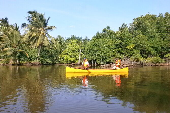 Unawatuna Lagoon Canoeing Excursion - An In-Depth Look at the Unawatuna Lagoon Canoeing Experience