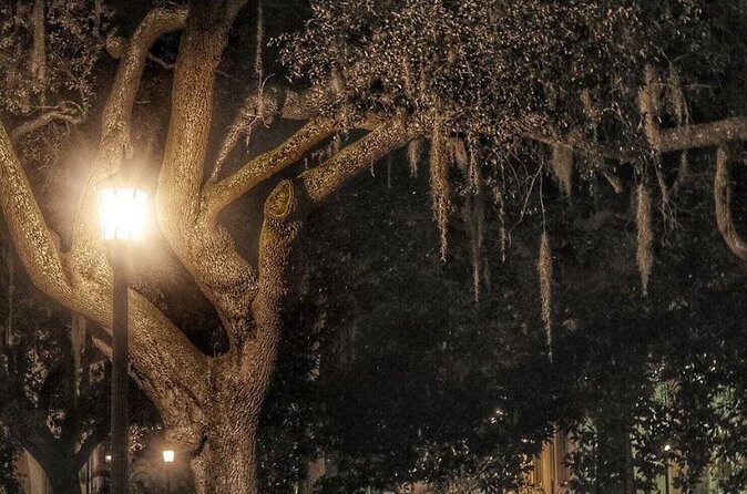 Uncensored Zombie Night-Time Walking Ghost Tour of Savannah (Ages 18+) - The Sum Up