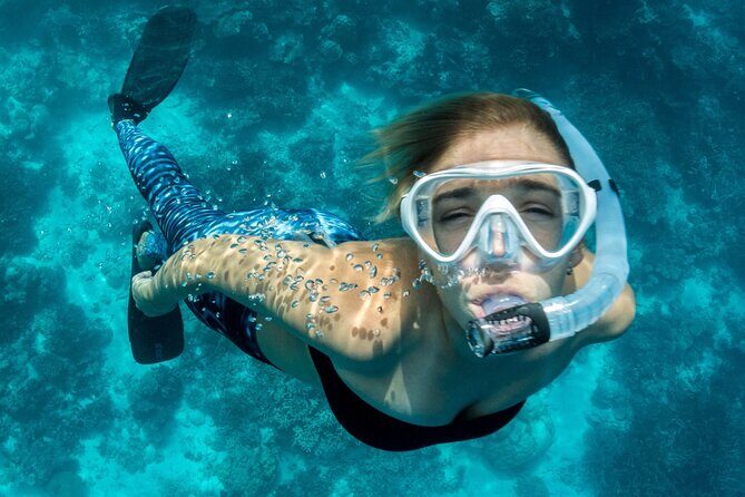 Uncharted Marine Reserve Cave, Snorkel & Cliff Jumping Kayak Tour - Final Thoughts: Who Is This Tour For?