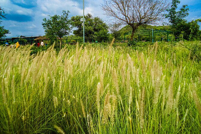 Uncover Hidden Treasures of Rural Life on a Village Tour - Itinerary Breakdown: What You Can Expect