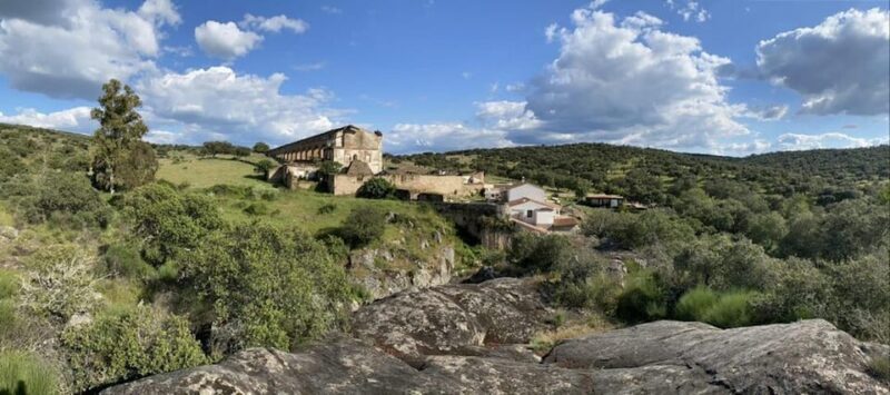 Under the Stars: Night Immersion with Sky Interpretation - Exploring the Night with Wildlife and Stars: A Balanced Look