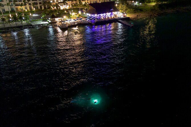 Under the Stars Twilight Snorkel and Seaside Dinner at Money Bar - Introduction