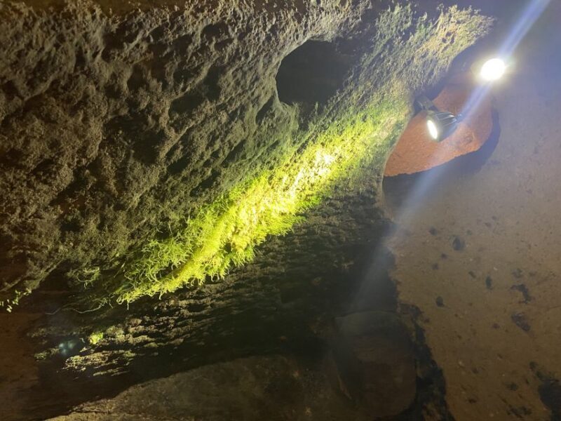 Underground city tour & optional wine tasting - Discover Cappadocia’s Underground City: A Tour Worth Visiting