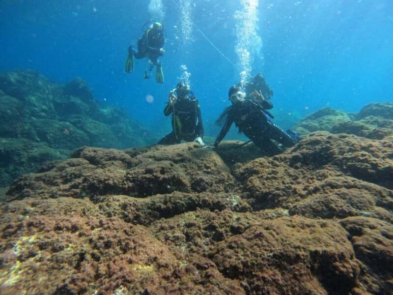 Underwater Archaeological Tour: Acicastello (CT) - An In-Depth Look at the Underwater Archaeological Tour in Acicastello