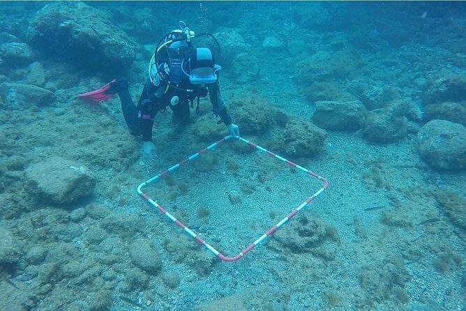 Underwater Archaeology Course - What to Expect from the Underwater Archaeology Course